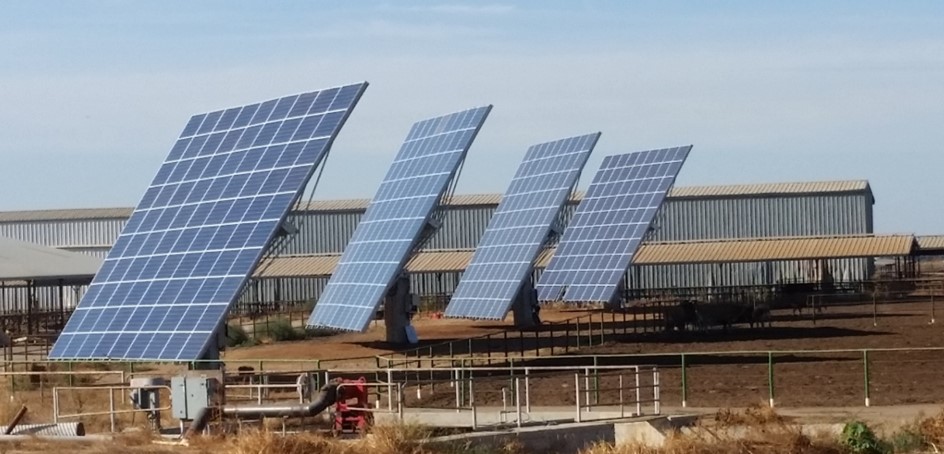 Medium size agribusiness solar installation